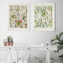 Load image into Gallery viewer, Botanical Medicinal Plants