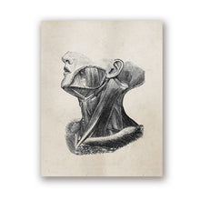 Load image into Gallery viewer, Human Anatomy