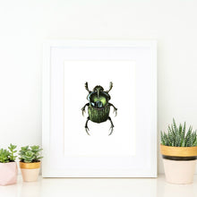 Load image into Gallery viewer, Green Beetle