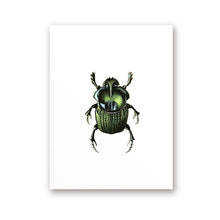 Load image into Gallery viewer, Green Beetle