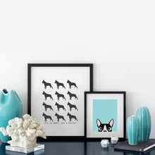 Load image into Gallery viewer, Boston Terrier Dog