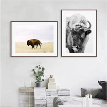 Load image into Gallery viewer, Buffalo