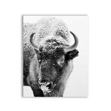 Load image into Gallery viewer, Buffalo