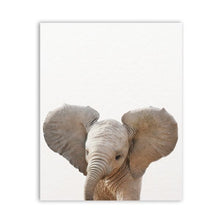 Load image into Gallery viewer, Baby Animals