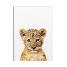 Load image into Gallery viewer, Baby Animals