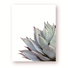 Load image into Gallery viewer, Cactus