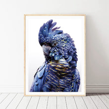 Load image into Gallery viewer, Navy Blue Bird Parrot