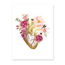 Load image into Gallery viewer, Heart Anatomy