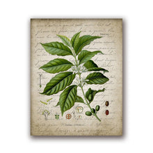 Load image into Gallery viewer, Coffee Making Vintage