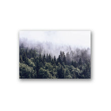 Load image into Gallery viewer, Fog Forest Wilderness