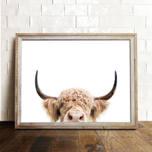 Load image into Gallery viewer, Highland Cow
