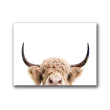 Load image into Gallery viewer, Highland Cow