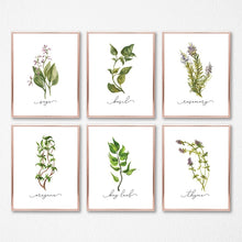 Load image into Gallery viewer, Herb Collection
