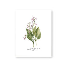 Load image into Gallery viewer, Herb Collection