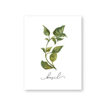 Load image into Gallery viewer, Herb Collection