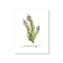 Load image into Gallery viewer, Herb Collection