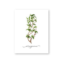 Load image into Gallery viewer, Herb Collection