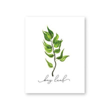 Load image into Gallery viewer, Herb Collection