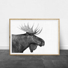 Load image into Gallery viewer, Forest Animal Moose Farmhouse