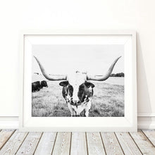 Load image into Gallery viewer, Longhorn Cattle