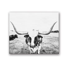 Load image into Gallery viewer, Longhorn Cattle