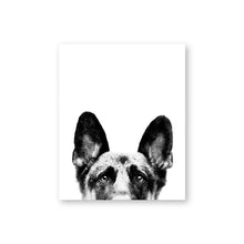 Load image into Gallery viewer, German Shepherd