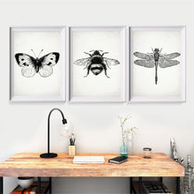 Load image into Gallery viewer, Insect Dragonfly