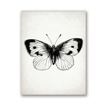 Load image into Gallery viewer, Insect Dragonfly