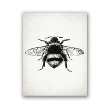 Load image into Gallery viewer, Insect Dragonfly