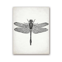 Load image into Gallery viewer, Insect Dragonfly