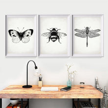 Load image into Gallery viewer, Insect Dragonfly