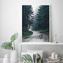 Load image into Gallery viewer, Forest Nature Photography Trees