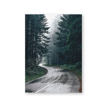 Load image into Gallery viewer, Forest Nature Photography Trees