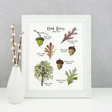 Load image into Gallery viewer, Oak Tree Leaf
