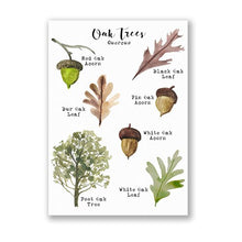 Load image into Gallery viewer, Oak Tree Leaf