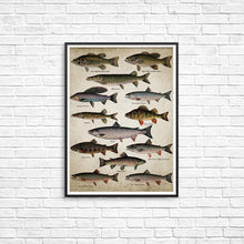 Load image into Gallery viewer, Fishing Angling