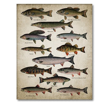 Load image into Gallery viewer, Fishing Angling