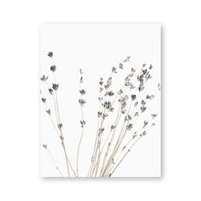 Load image into Gallery viewer, Lavender Eucalyptus