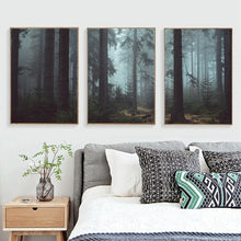 Load image into Gallery viewer, Czech Forest Landscape