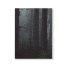 Load image into Gallery viewer, Czech Forest Landscape