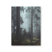 Load image into Gallery viewer, Czech Forest Landscape