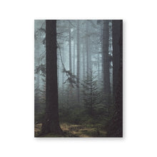 Load image into Gallery viewer, Czech Forest Landscape