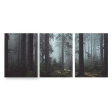 Load image into Gallery viewer, Czech Forest Landscape