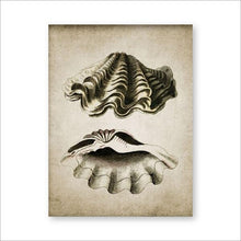 Load image into Gallery viewer, Retro Seashell