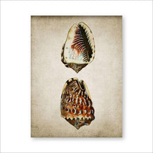 Load image into Gallery viewer, Retro Seashell