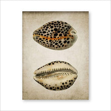 Load image into Gallery viewer, Retro Seashell