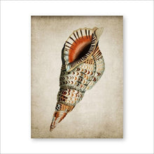 Load image into Gallery viewer, Retro Seashell