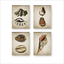 Load image into Gallery viewer, Retro Seashell